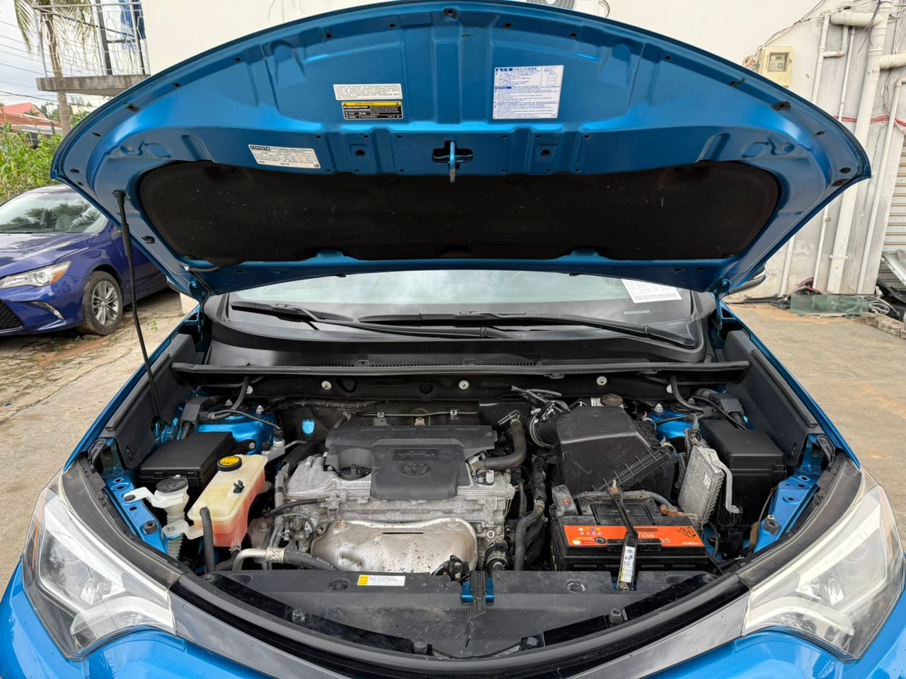 WhatsApp Image 2025-10-08 at 17.02.03