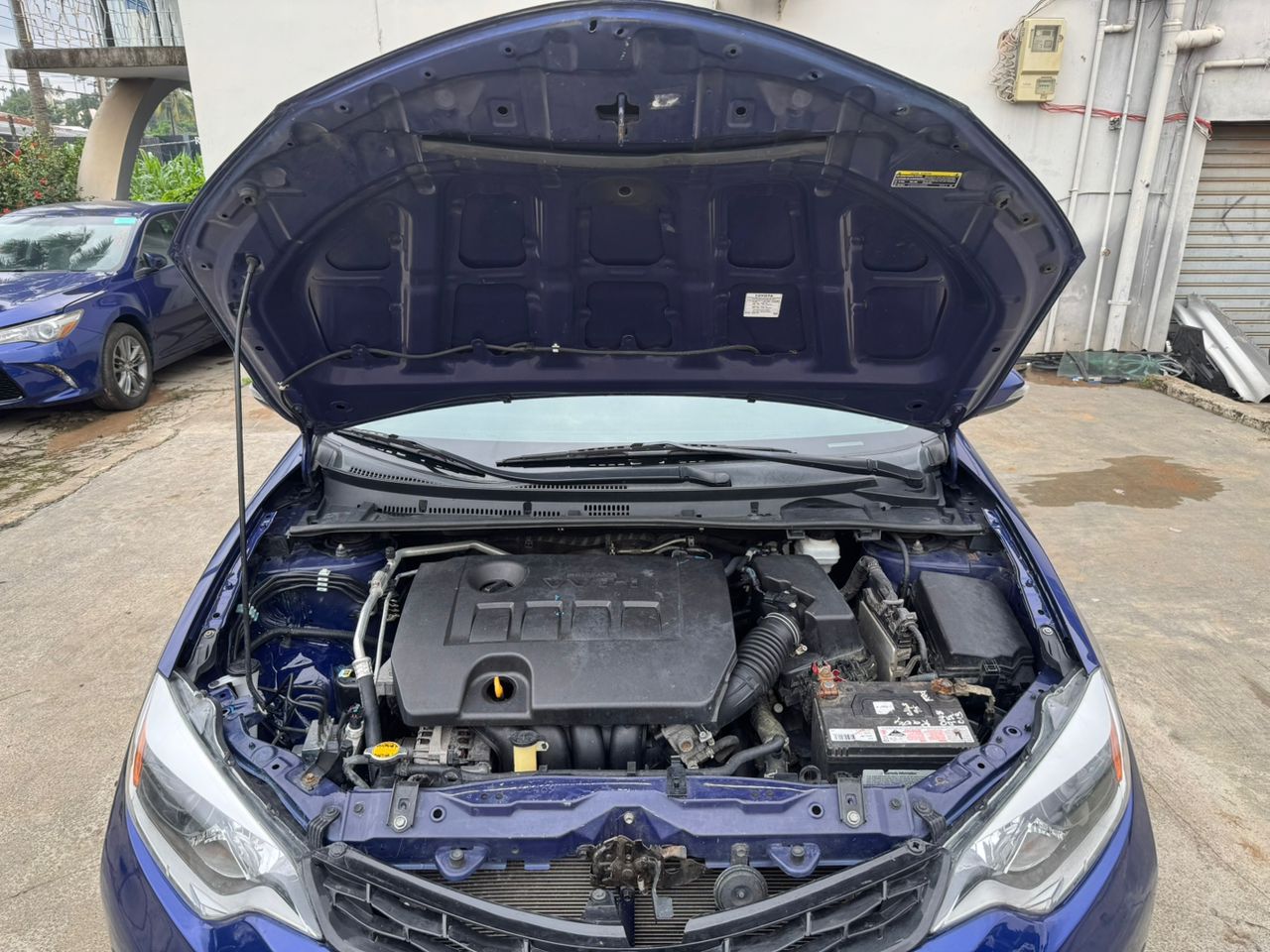 WhatsApp Image 2025-10-08 at 17.07.20