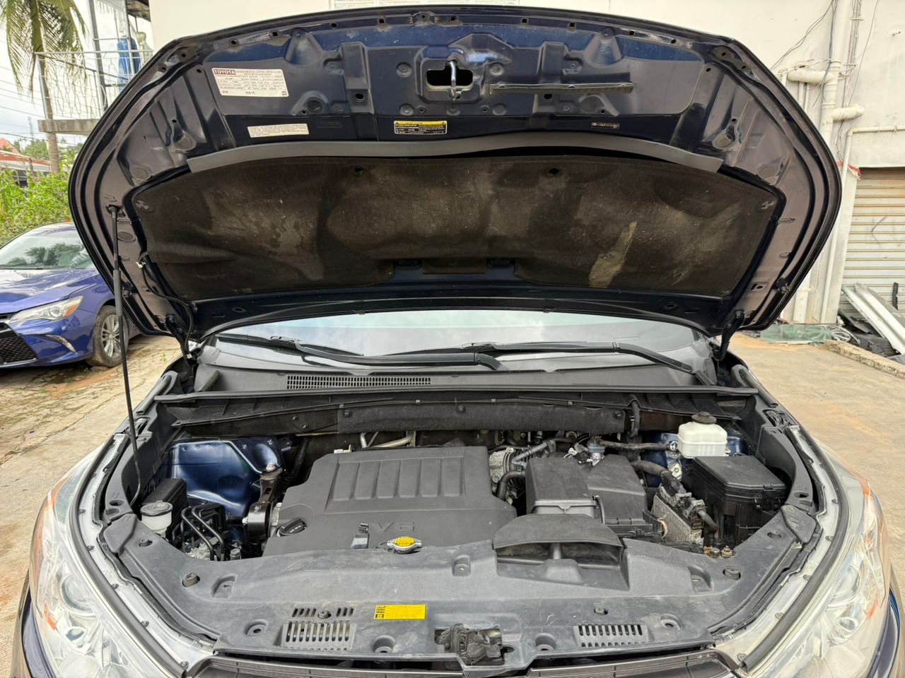 WhatsApp Image 2025-10-08 at 17.07.29