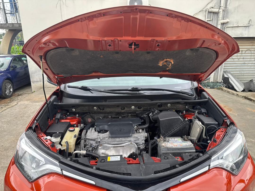 WhatsApp Image 2025-10-08 at 17.07.56