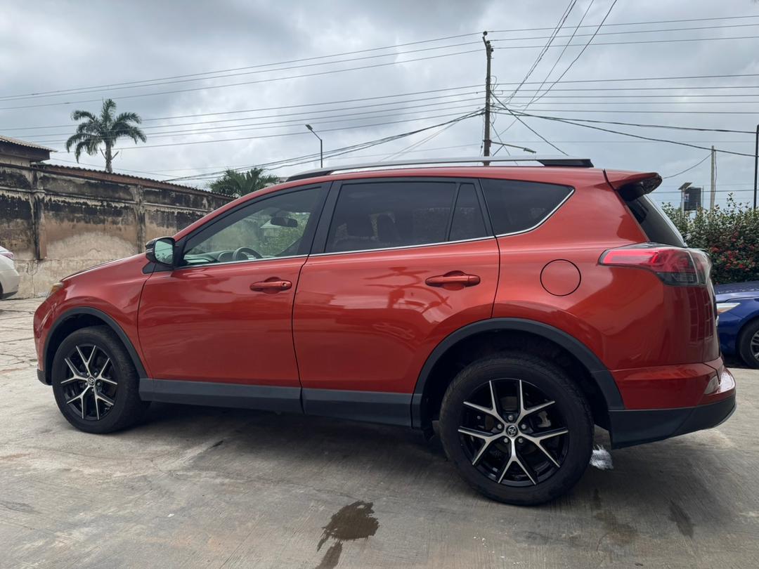 WhatsApp Image 2025-10-08 at 17.07.56