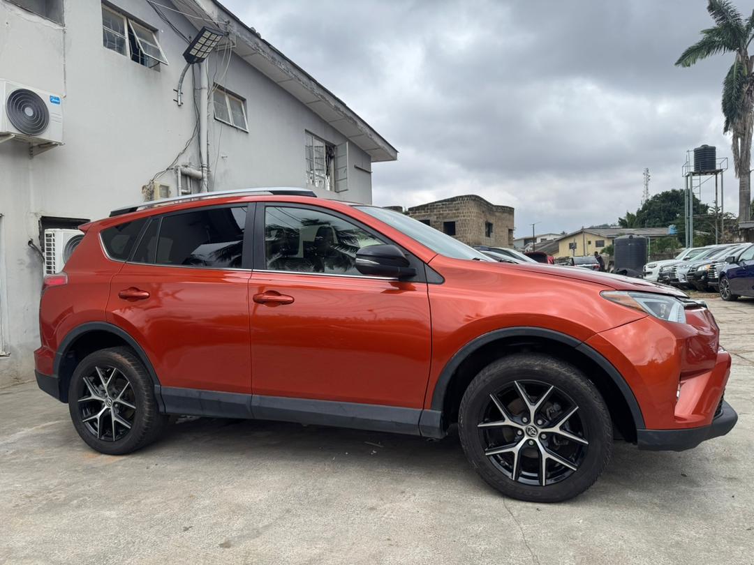 WhatsApp Image 2025-10-08 at 17.07.56