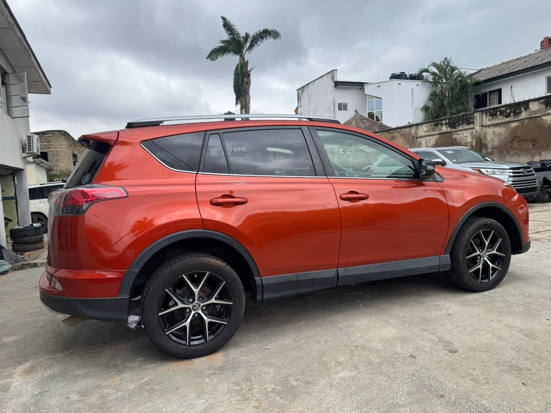 WhatsApp Image 2025-10-08 at 17.07.56