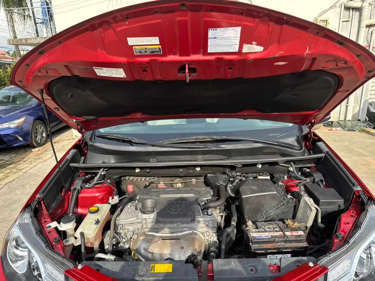 WhatsApp Image 2025-10-08 at 17.08.11