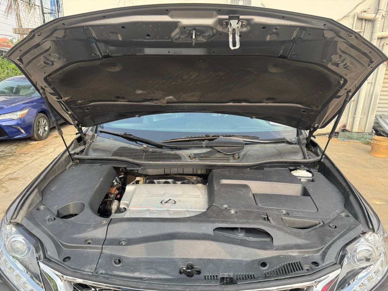 WhatsApp Image 2025-10-08 at 17.12.14