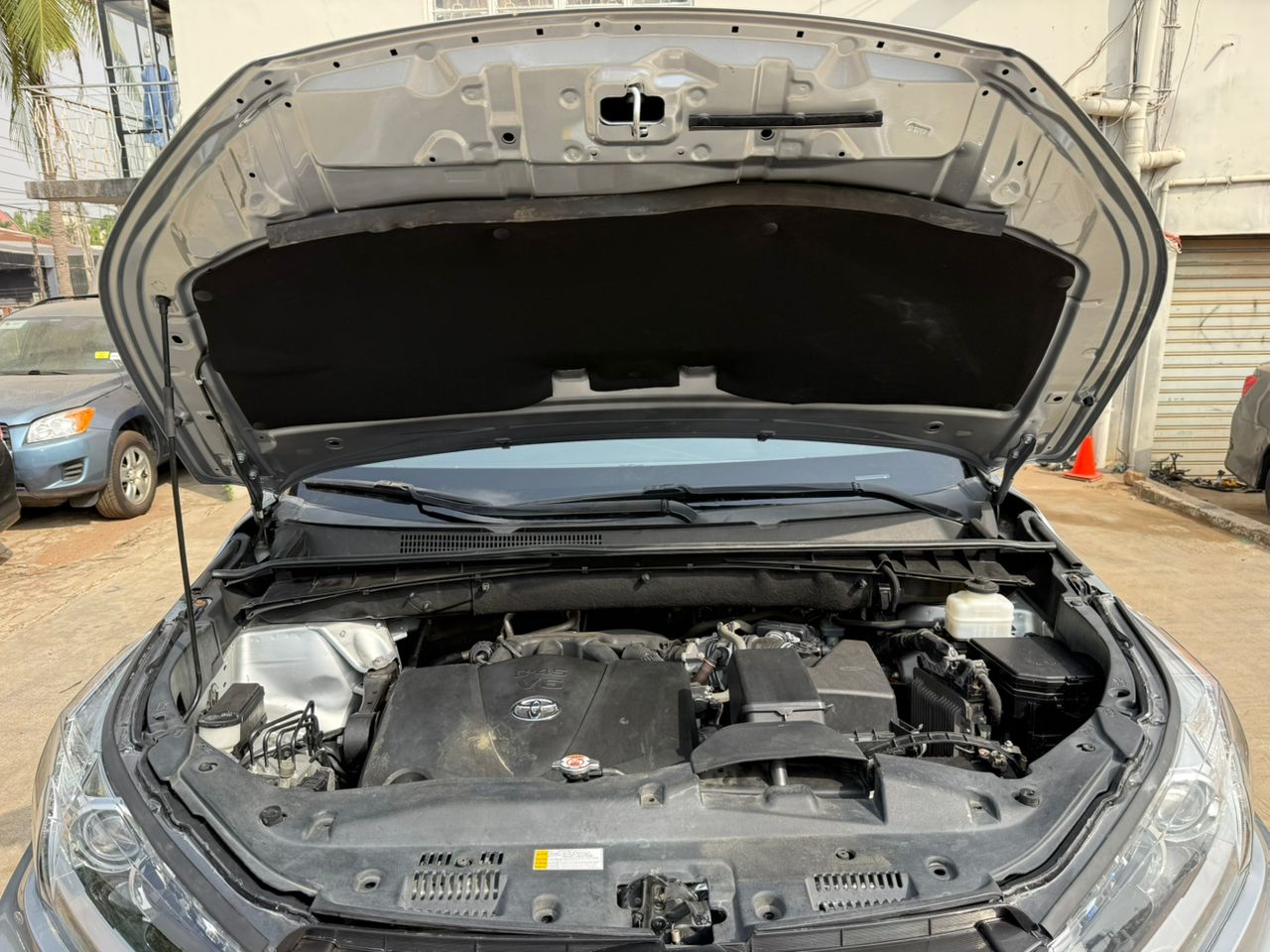 WhatsApp Image 2026-02-14 at 4.42.29 AM