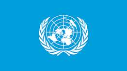 UN Turns to Google to make its Global Data Ready for AI Agents